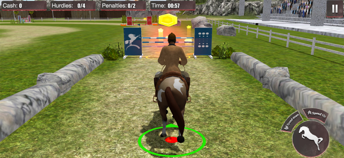 Champion Of Horse Jumping Show