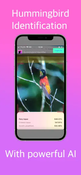 Game screenshot Hummingbird Identifier mod apk