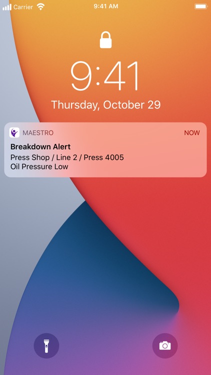 Maestro - Business Process App screenshot-8