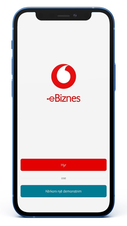 eBiznes nga Vodafone