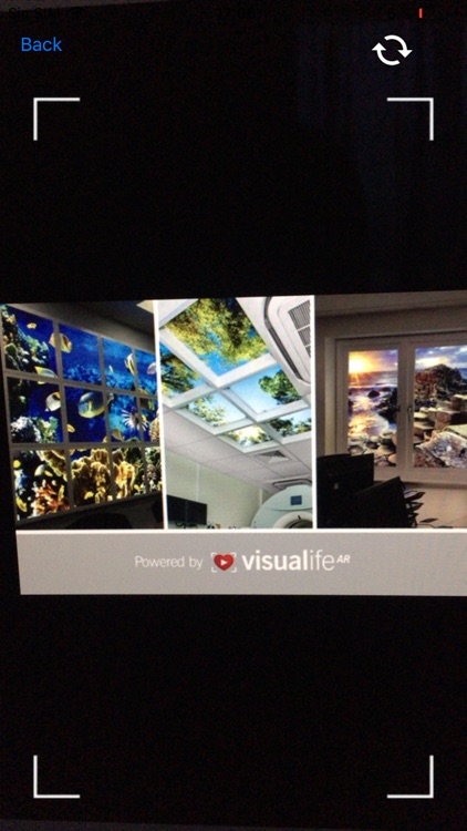 visualife AR