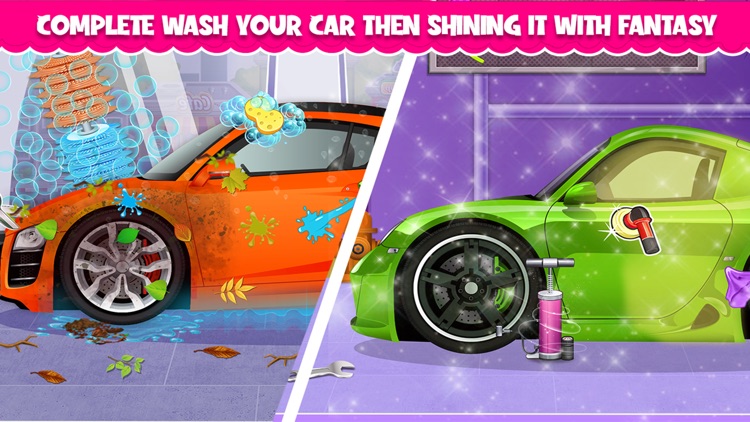 Animal Car Wash Station
