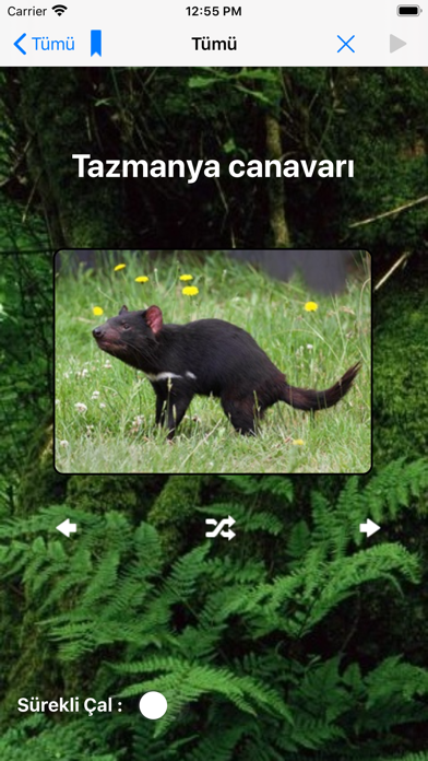 Hayvan Sesleri Screenshot