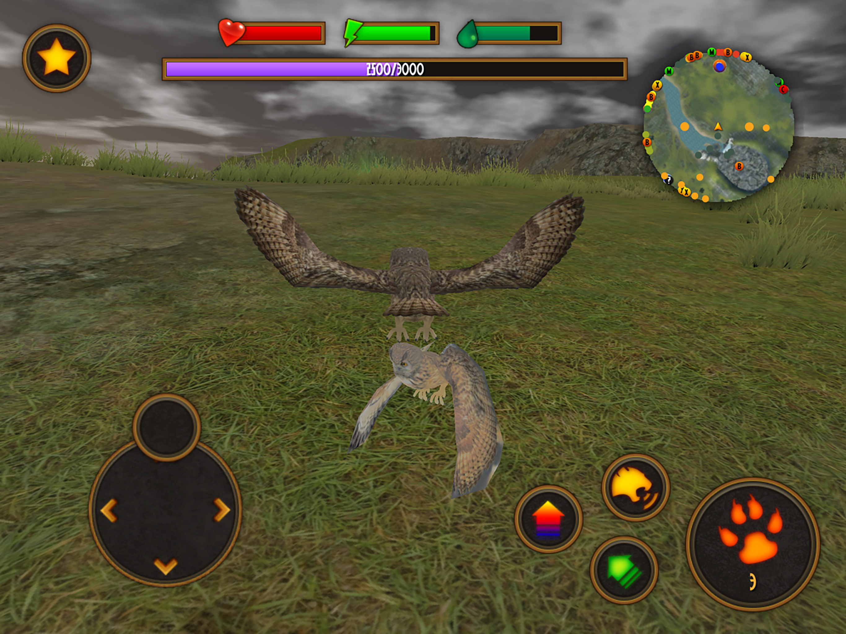 Clan Of Owl