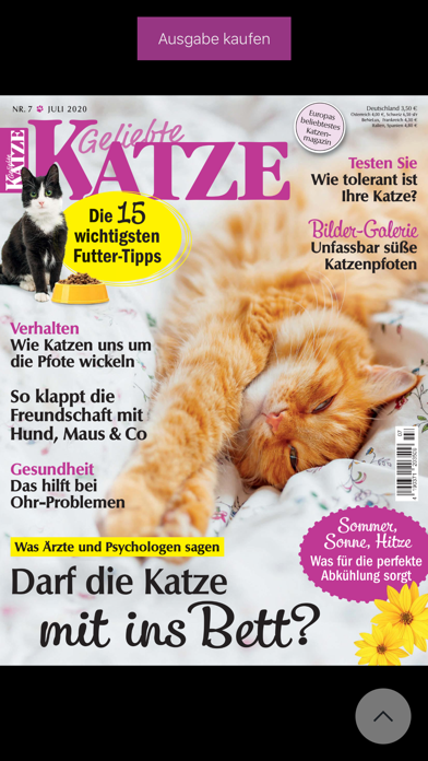 Geliebte Katze Screenshot