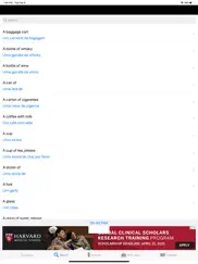 english to portuguese phrases ipad capturas de pantalla 4