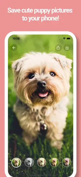 Game screenshot Dog Wallpapers -Picture, Movie apk