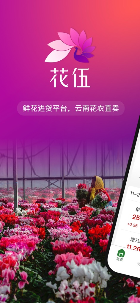 花伍-鲜花批发花店货源 - Questa schermata introduttiva accoglie gli utenti con un logo distintivo dell'app e una vibrante immagine di un campo di fiori, evidenziando la connessione diretta dell'applicazione con i produttori di Yunnan.