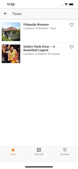 Game screenshot Prijepolje Museum hack