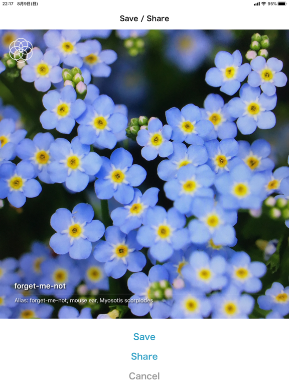 hananona app iPad screenshot 4 - Photo & Video app