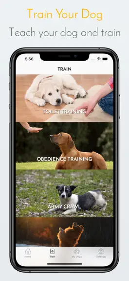 Game screenshot My Dog App - Care my Dog apk