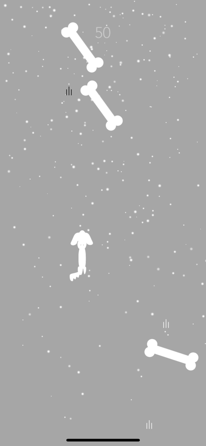 DogRun - Avoid bones