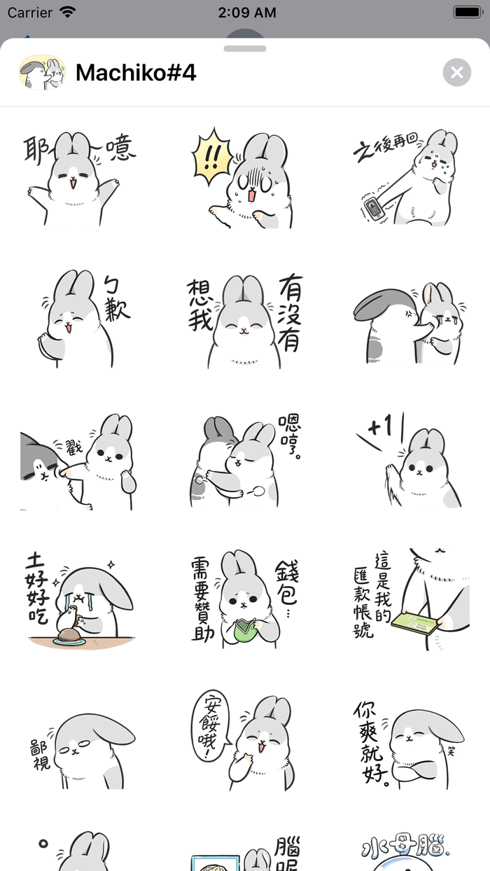 Machiko Rabbit Pack 4