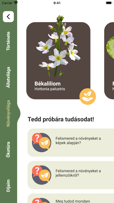 Rétköz Screenshot