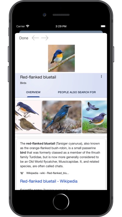 Bird ID: Use AI to id birds Screenshots