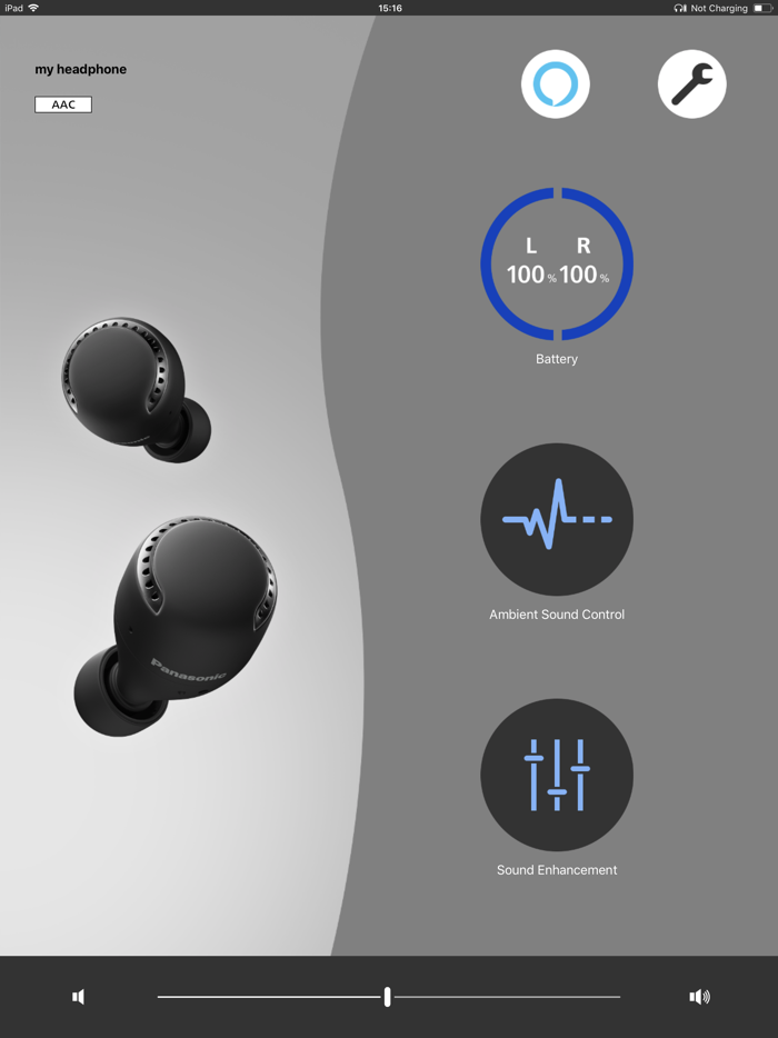 Panasonic Audio Connect