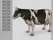 3d bovine anatomy ipad images 1