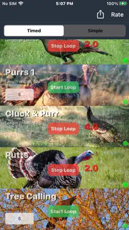 Game screenshot Wild Turkey Calls + hack