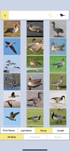 Pocket Bird Guide, Netherlands screenshot #4 for iPhone