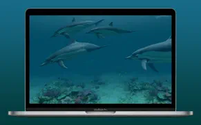 dolphins 3d iphone capturas de pantalla 1