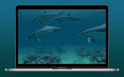 Dolphins 3D screenshot 1