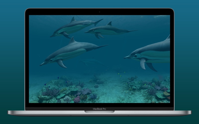 Screenshot #1 pour Dolphins 3D