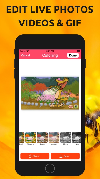 Gif Converter : Live Wallpaper