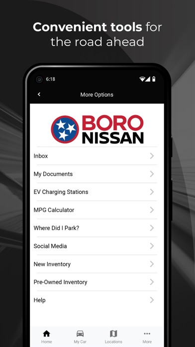 Boro Advantage Screenshot