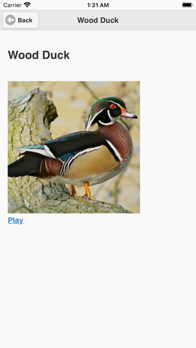 Kootenay BIrd Sounds Screenshot
