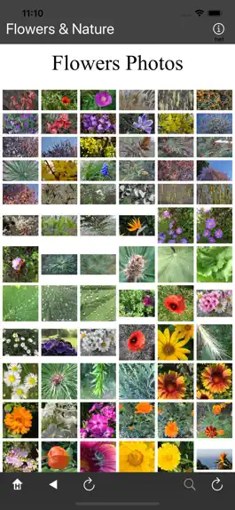 Game screenshot Flowers and Nature apk