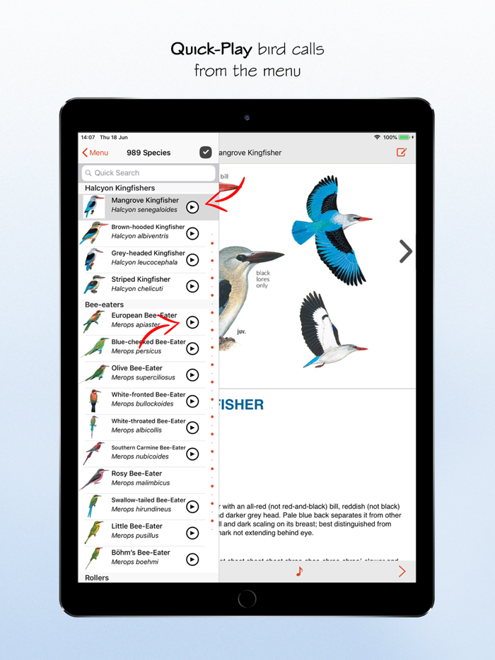 Sasol eBirds South Africa LITE