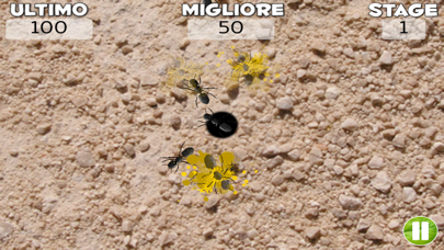 Screenshot #3 pour Pesta Formiche