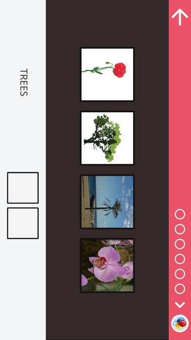 Screenshot #3 pour ClassIt — AMIKEO APPS