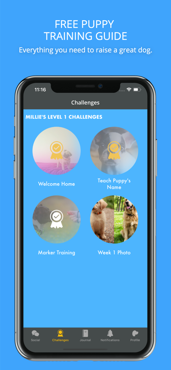 Social Puppy Dog Training App