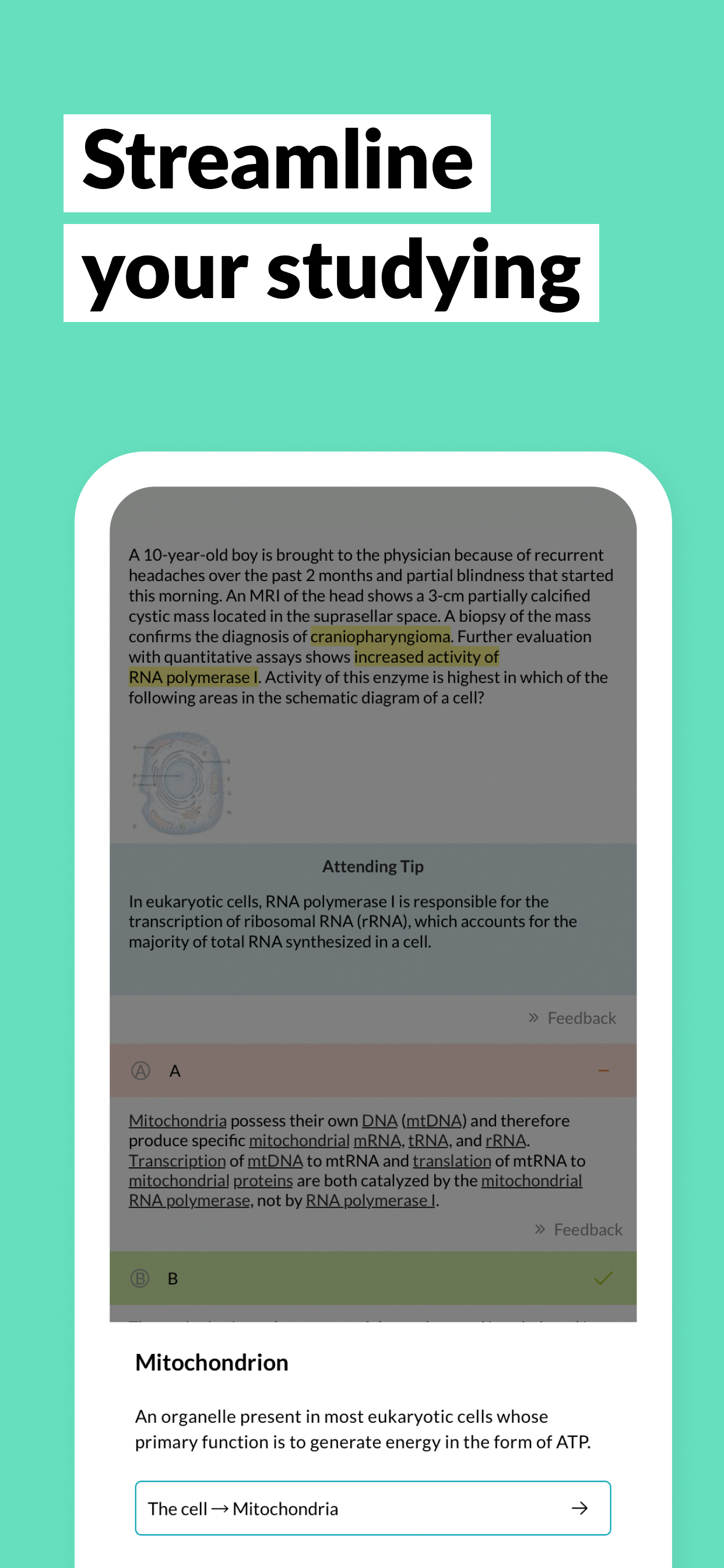 AMBOSS Qbank for Medical Exams