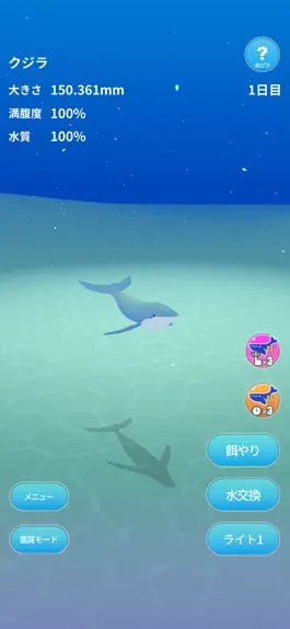 Game screenshot Whale World mod apk