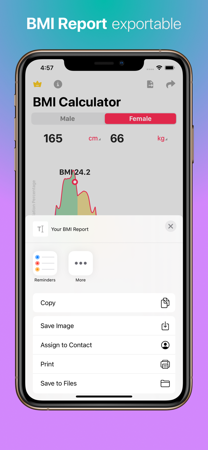 BMI Calculator - Mass Check