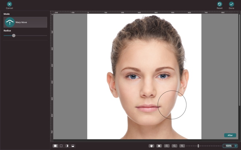 Photo Plastic Surgery Screenshot