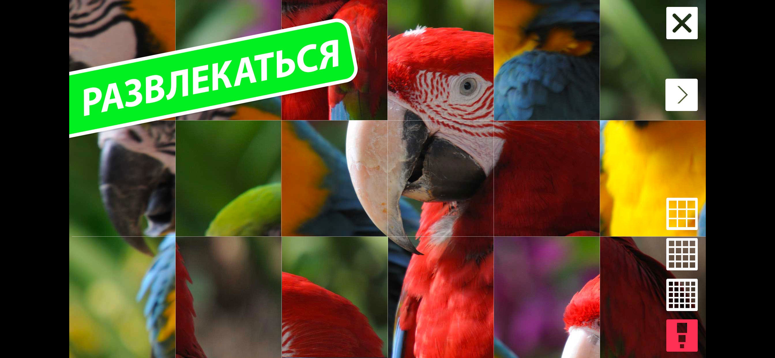 ГОЛОСА ЗВЕРЕЙ, ФОТО И ИНФО .