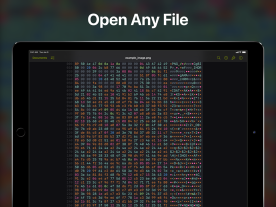 Hexer — Hex File Viewer iPad app afbeelding 1