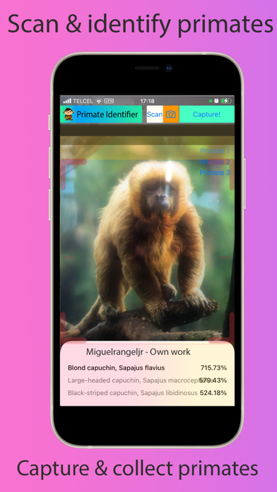 Primate Identifier Screenshot