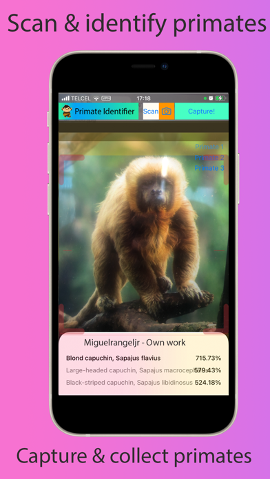 Screenshot #2 pour Primate Identifier