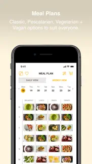 healthy chef iphone screenshot 4
