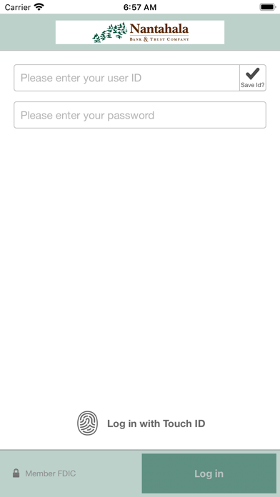 Nantahala Bank For Business Screenshot