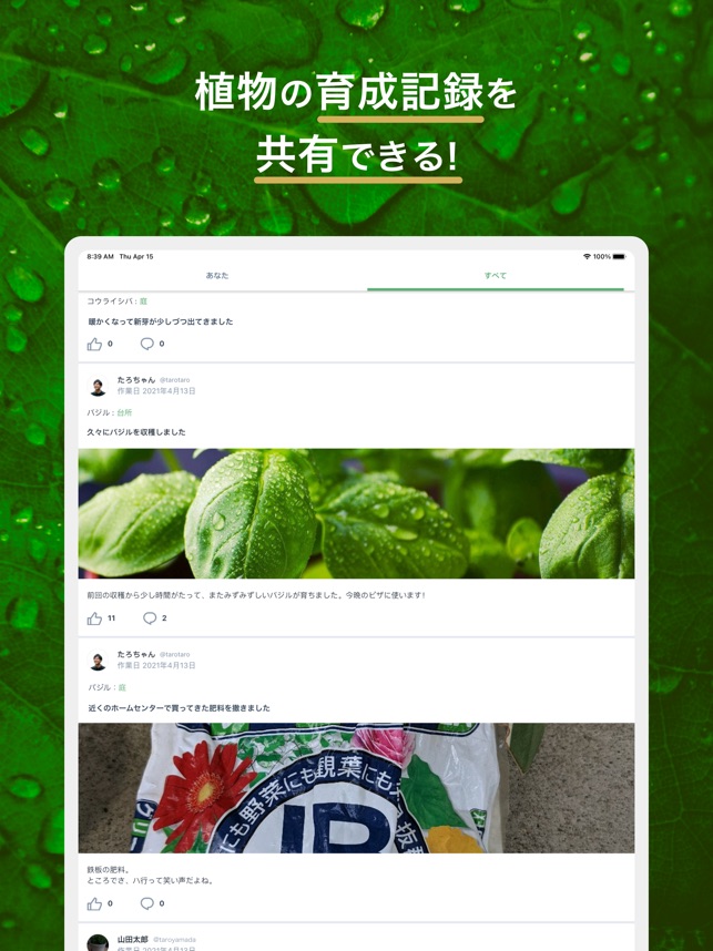 App Store 上的 Forever Green