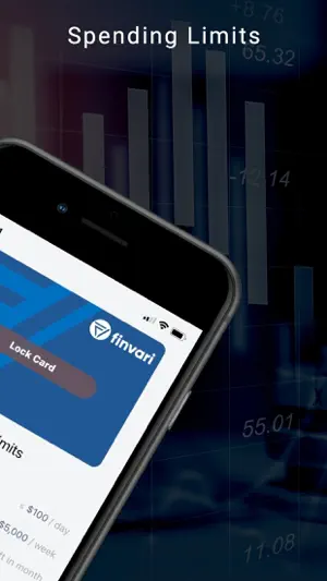 Finvari screenshot 2