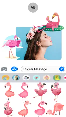 Game screenshot Pink Flamingo Stickers! mod apk