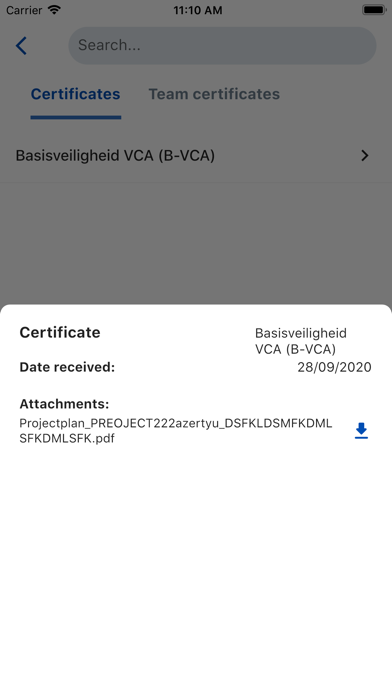 VCA-Online 2.0 Screenshot