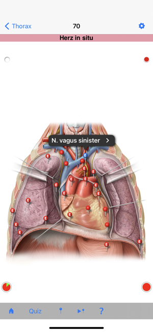 PROMETHEUS - LernKarten Screenshot