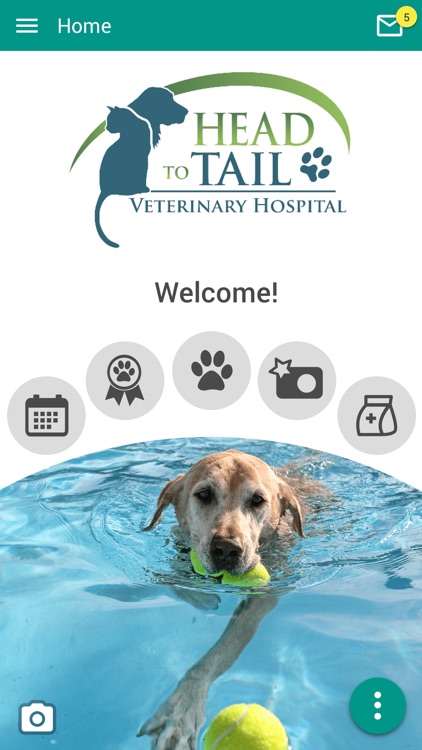Head to Tail Vet Hospital